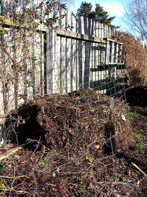 Rescued sod decomposed ©Janet Allen