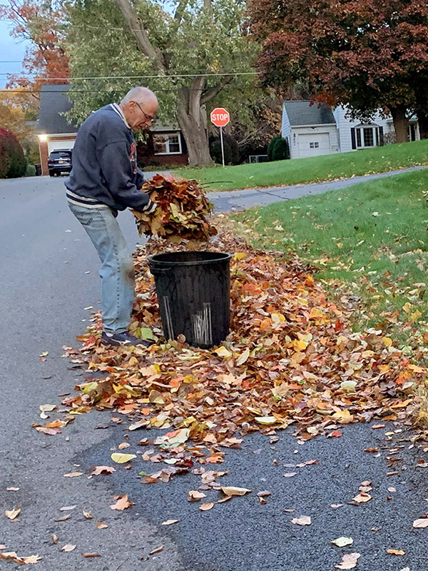 Collecting leaves in the neighborhood