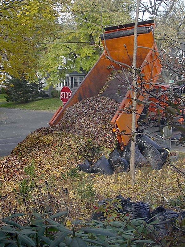 Truck dumping leaves ©Janet Allen