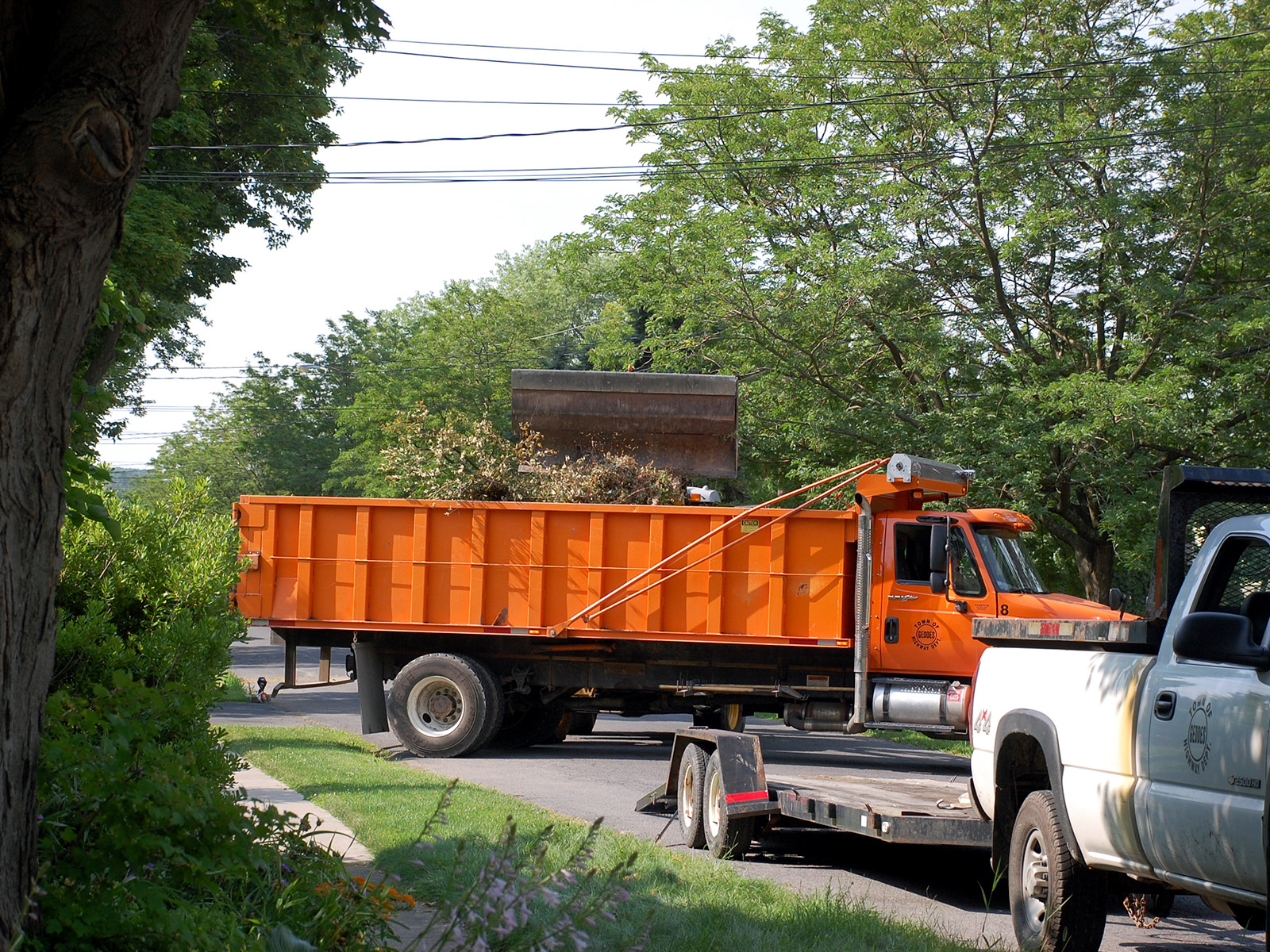 Weeding and editing – Our Habitat Garden