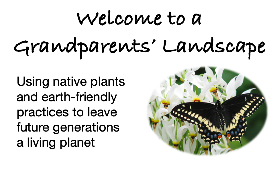 Welcome to grandparents' landscape