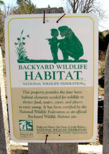 Why Create A Habitat Garden? – Our Habitat Garden