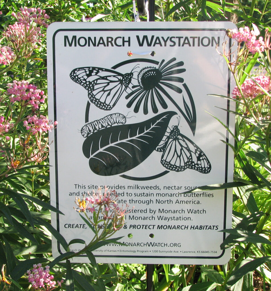 Our Monarch Waystation sign