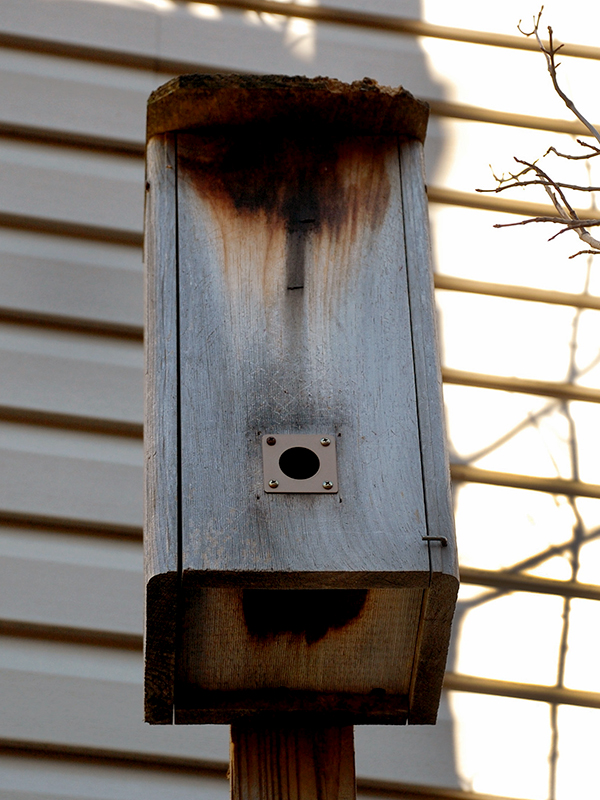 A roost box