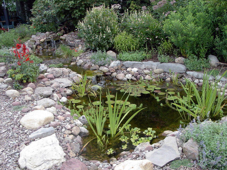 Pond And Stream – Our Habitat Garden FA7