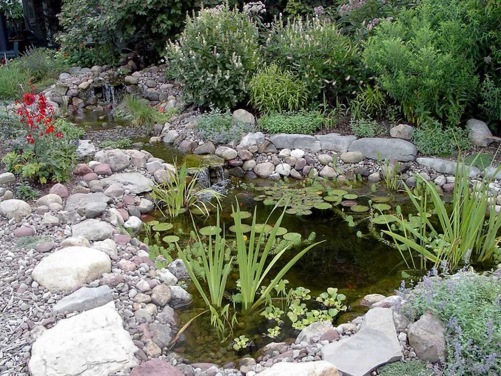 Our pond and stream when first built