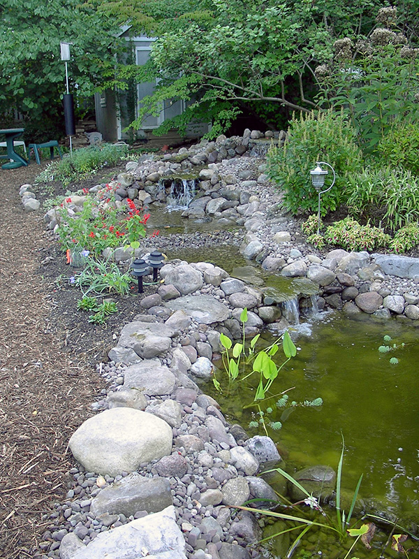Our new pond and stream