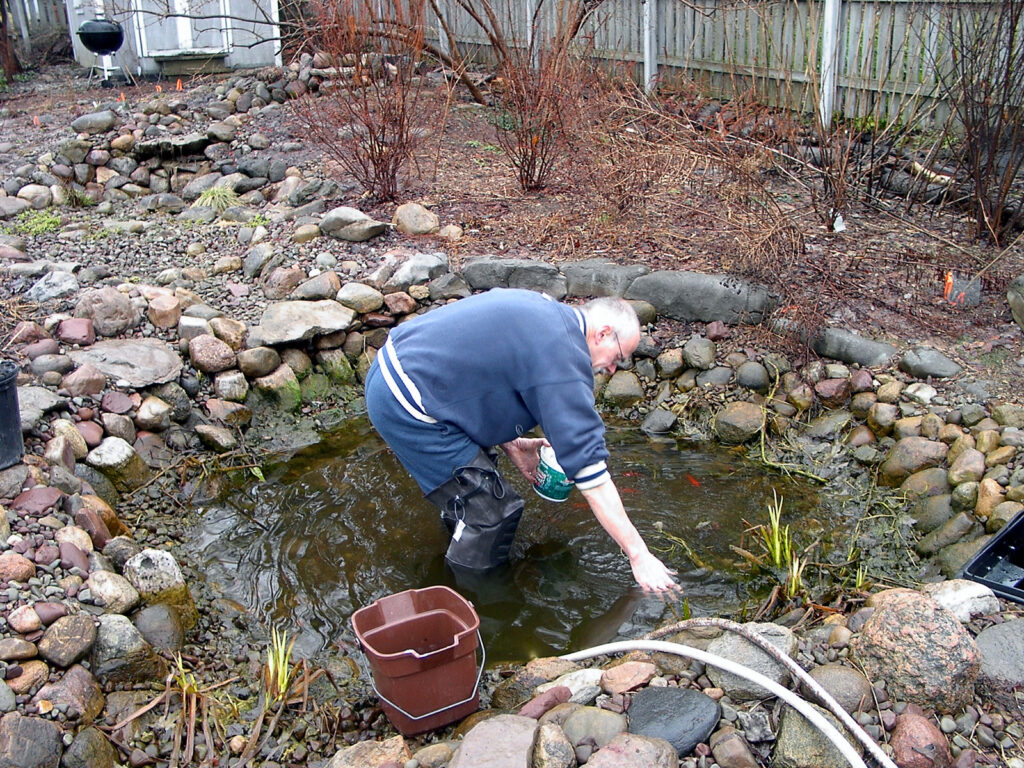 spring cleaning pond