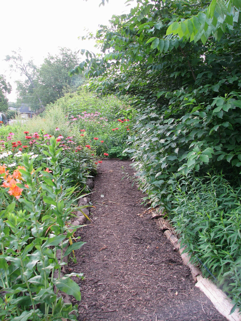 Front path (2009)
