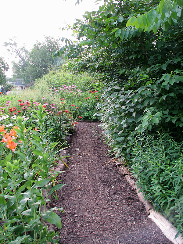 Front path (2009)