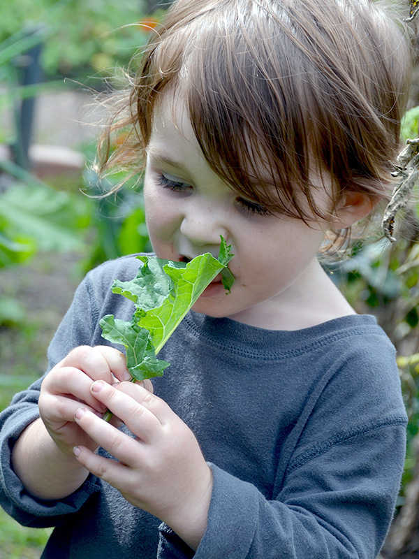 Child eating kale