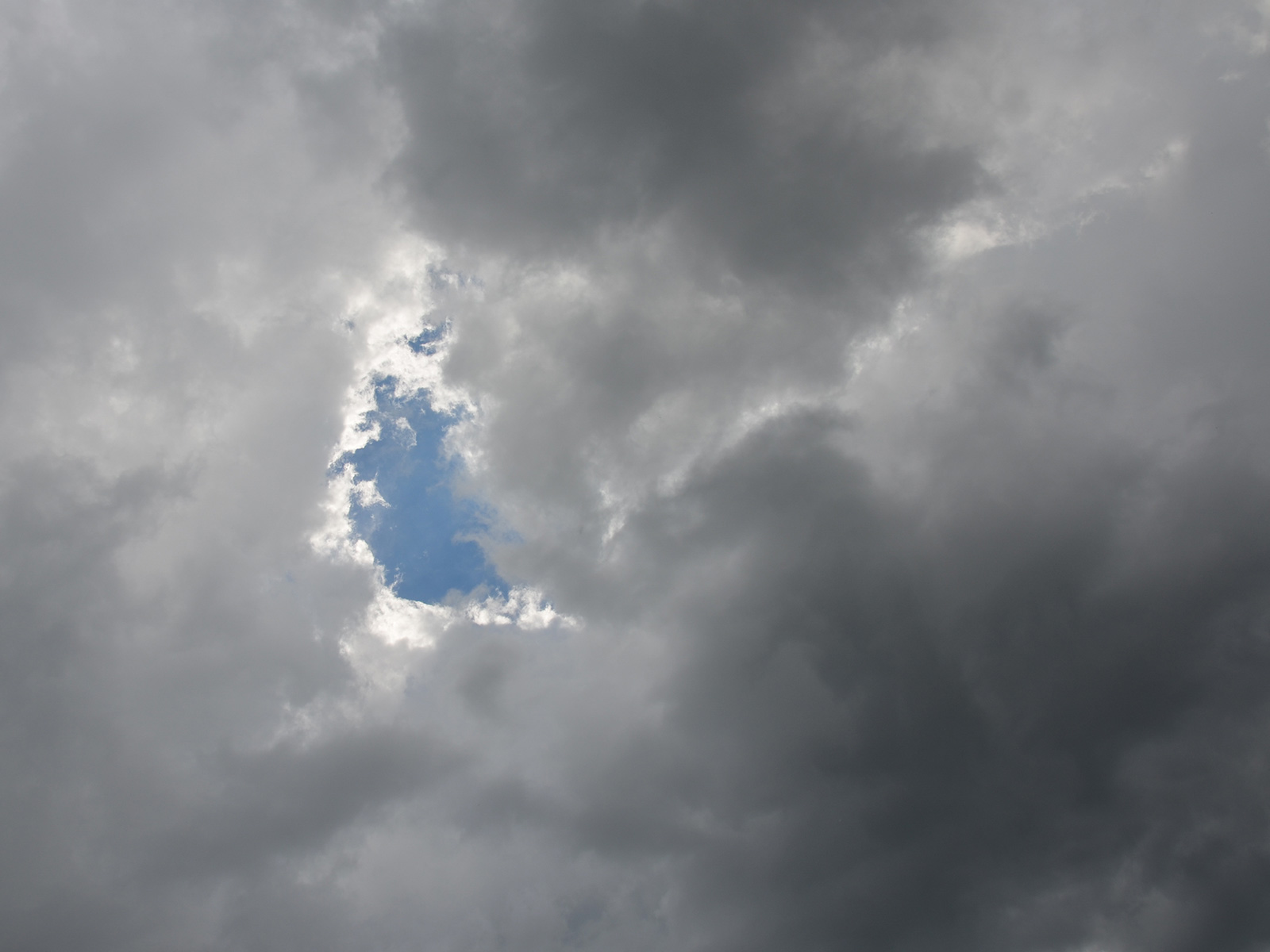 Clouds above our habitat garden