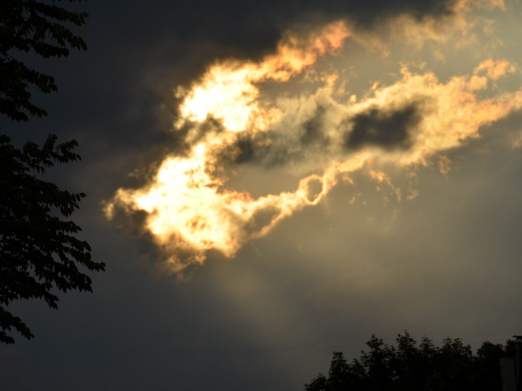 Clouds above our habitat garden