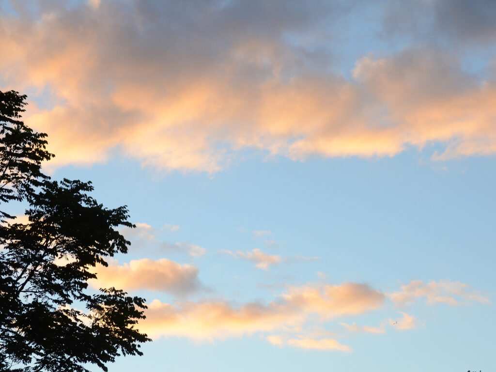 Clouds above our habitat garden