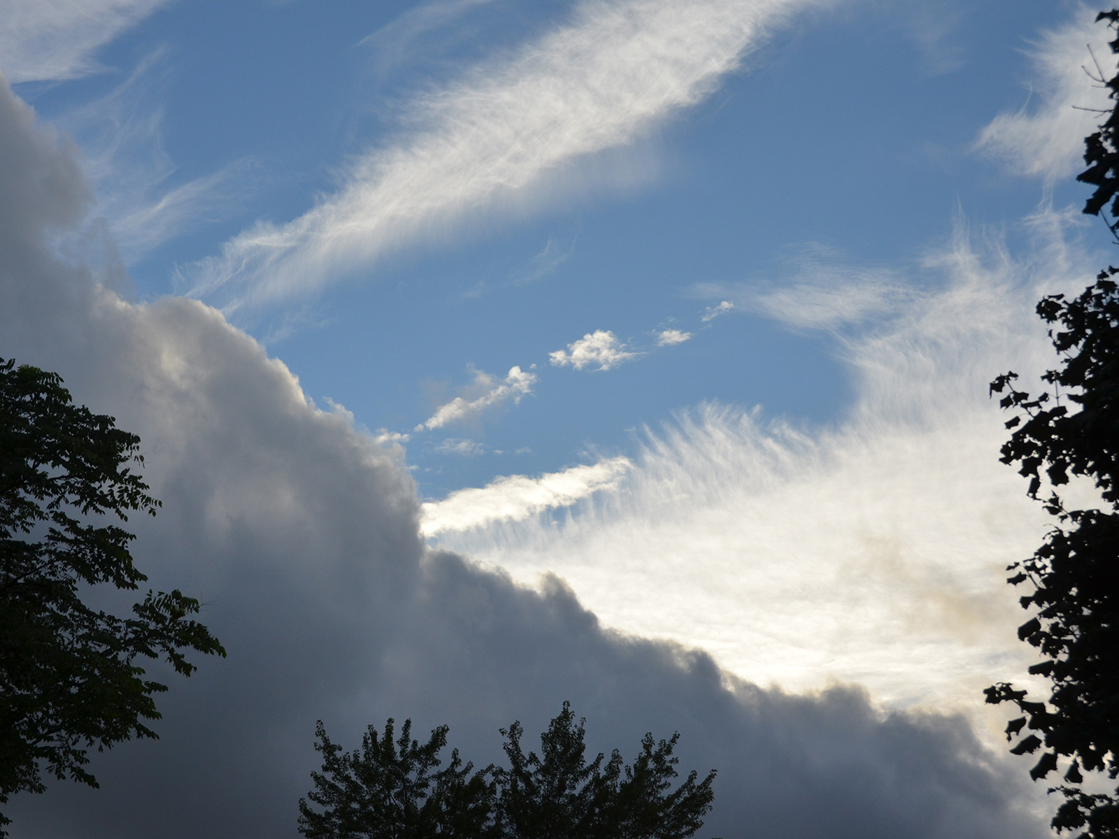 Clouds above our habitat garden ©Janet Allen