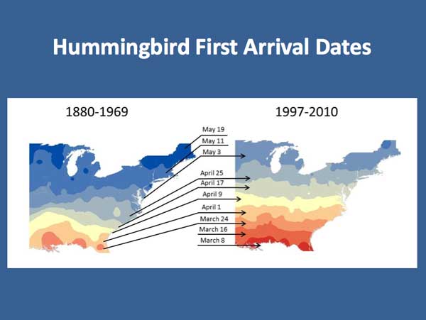 Bird arrival dates
