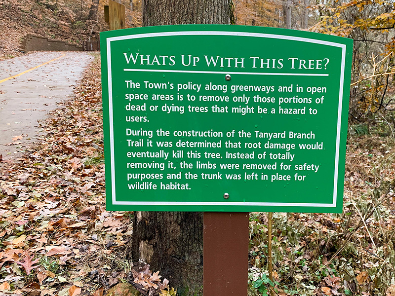 A sign explaining why the snag was left near this new trail in North Carolina ©Janet Allen