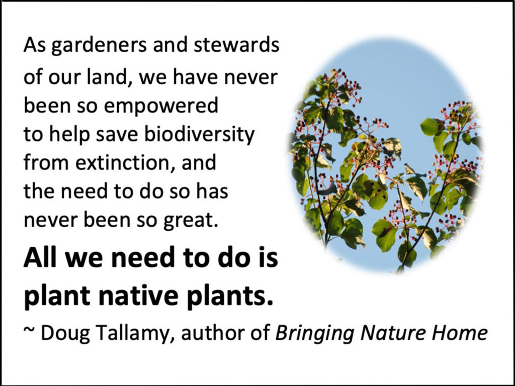Plant native plants