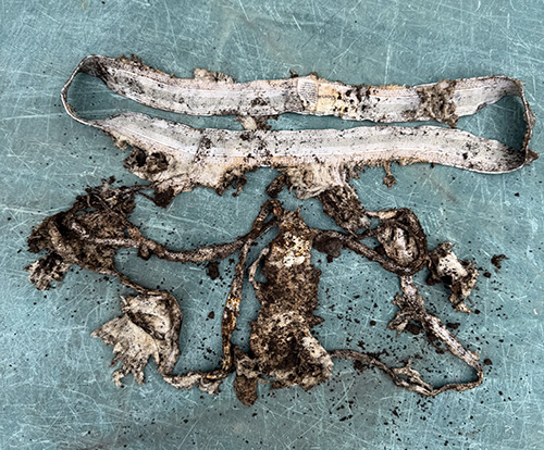 Undies after two months