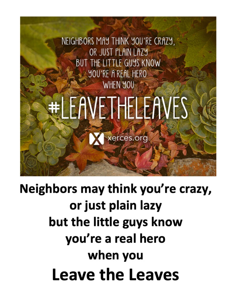Leave the Leaves: Intro