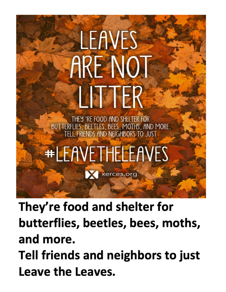 Leave the Leaves: Leaves are not litter